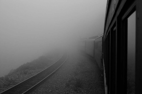 fog_train copy