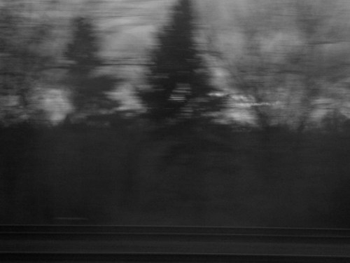 tumblr_m554gvxN5f1rww0q2o1_1280 copy