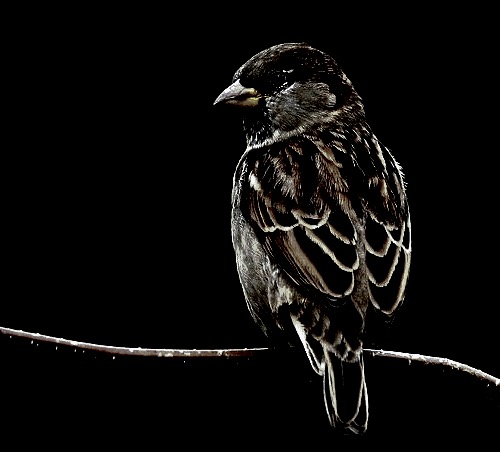 2015-01-11 14.16.12-2